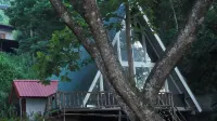 Tree Nature Resort
