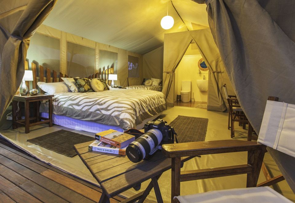 1. 윌다비스트 에코..