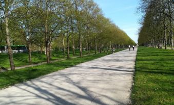 Apartment Osterstraße 123