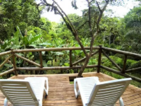 エスキナース レインフォレスト ロッジ ゴルフィトのホテル