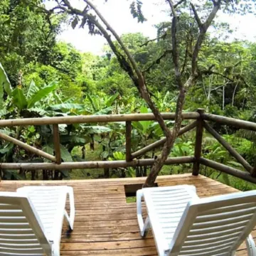 Esquinas Rainforest Lodge