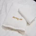 도미 인 왓카나이
