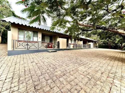 St Lucia Palms Hotels in St Lucia