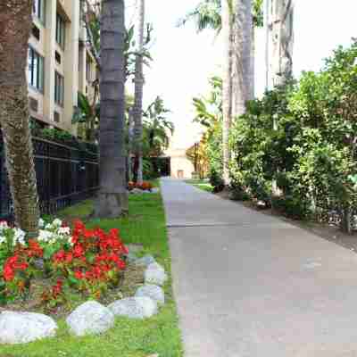 ダブルツリー バイ ヒルトン ブエナ パーク Hotel Exterior