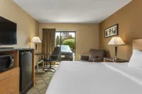 Comfort Inn - Pet friendly