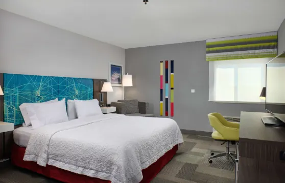 希爾頓歡朋酒店-阿拉莫戈多