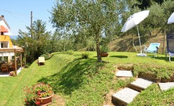 Holiday Home in Lucca with Pool & Garden