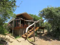 Woodbury Tented Camp – Amakhala Game Reserve Hotels in Grahamstown
