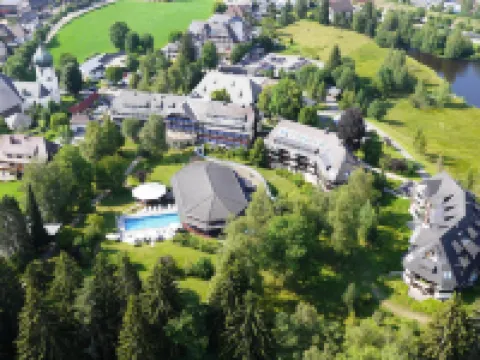 Parkhotel Adler Hotels in Hinterzarten