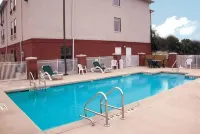 Comfort Inn & Suites Fultondale Gardendale I-65 - Wifi
