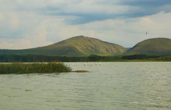 White Thorn Cottages