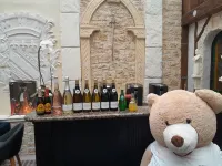 香檳伯爵中央歷史中心英式酒店 - 酒吧