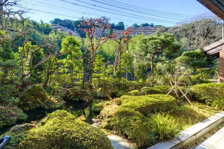 湯河原温泉 湯の里 杉菜