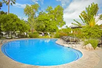 Hotel Del Rio - Pools