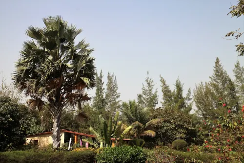 Yuna Village Garden Resort - pet friendly