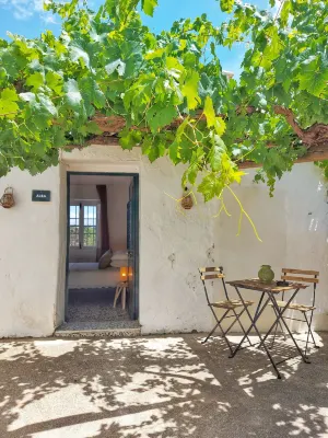 Finca Serrato - Mountain view