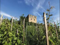 Gästehaus Schlegel Hotels in Waiblingen