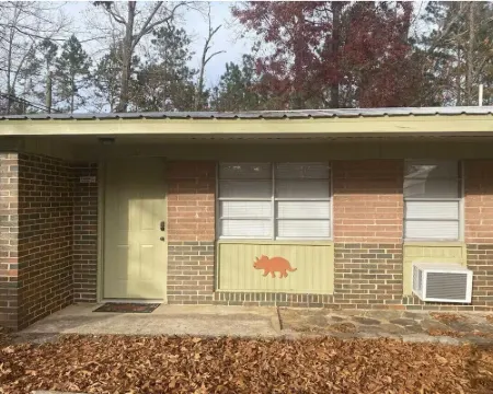 Dino Den - Charming 1-bedroom apartment in Oneonta with WiFi, AC 오니온타 호텔