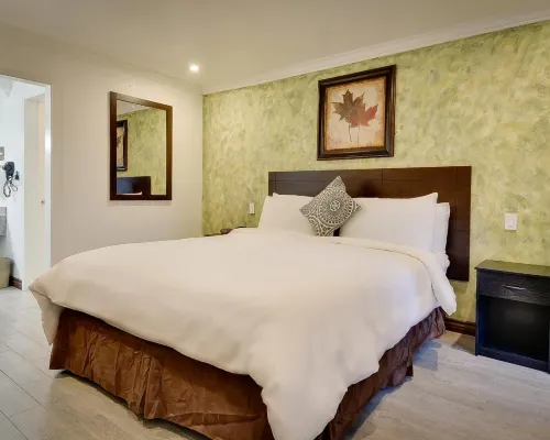 聖佩德羅浪人旅館 聖佩德羅酒店