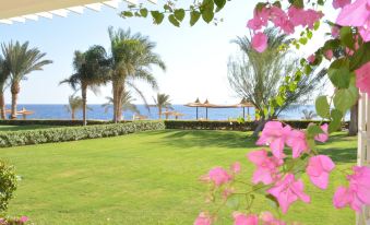 Monte Carlo Sharm Resort & Spa