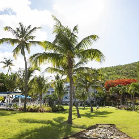 Limetree Beach Resort by Club Wyndham