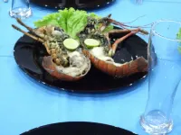 Moragalla Beach Home Guesthouse (Newly Opened Hotel) - Morgenmad