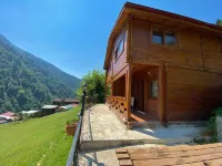 Ayder Yardimci Apart Hotels in Camlihemsin