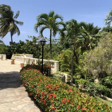 Caribe Campo