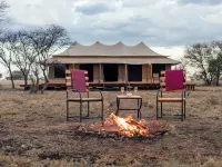 House of Nature Serengeti Hotels in Serengeti