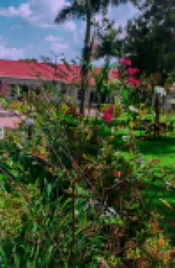 JLM HOTEL BUSIA 酒店