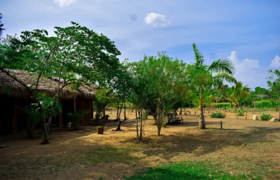 蓮花木屋生態酒店