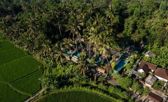 Ubud Padi Villas