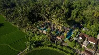 Ubud Padi Villas Hotels in Bali