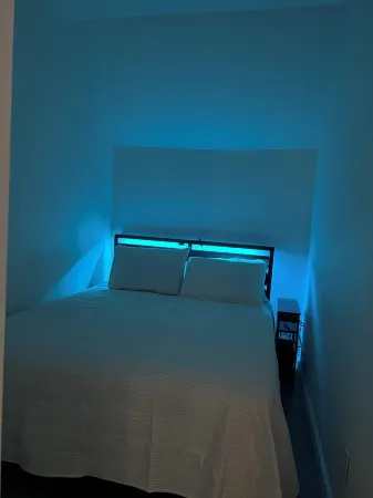 Beautiful Downtown Apartment