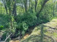 Creekside Cabin in Hocking Hills. Hot Tub + Large Private Yard. Dog-friendly!