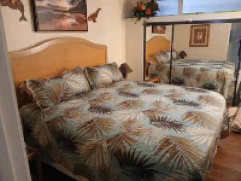 More Aloha for Your Money! Sale 155. Per Night! All Summer Thru Sept Ocean View!