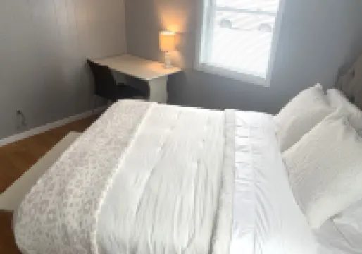 Cozy House on Collage Street