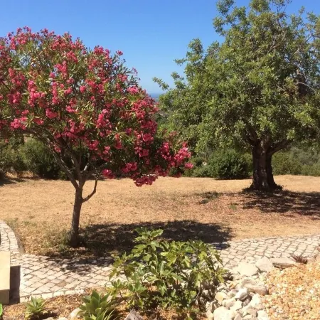 2 Bedroom, Fully Air-conditioned Country House With Large Private Pool