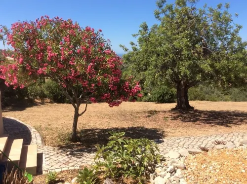 2 Bedroom, Fully Air-conditioned Country House With Large Private Pool