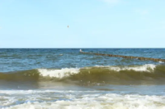 Fantastic apartment in a thatched house (ground floor) with large terrace and child-friendly garden