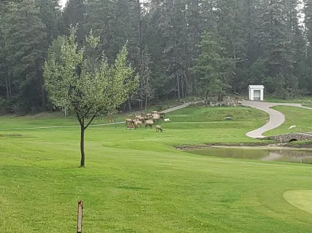 Family friendly! Cozy, quiet cabin in the Village of Cloudcroft Отели в г. Клаудкрофт