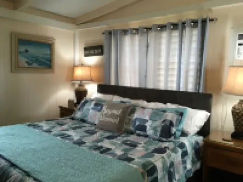 Panoramic Diamond Head Ocean View Spacious Home