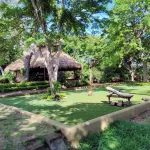 FOREST VIEW AND OCEANFRONT VIEW - SEVERAL OUTDOOR SPACES  - DIRECT BEACH ACCESS Hôtels à : 