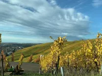 Wine town
