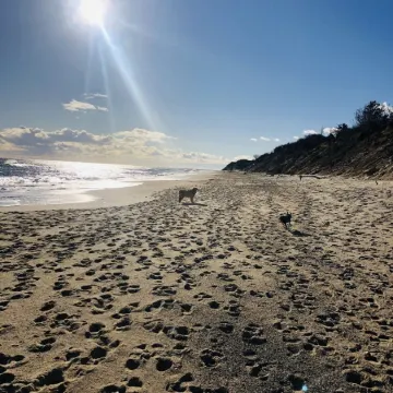 Sunset Views - Cape Cod Bay.