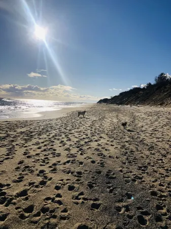 Late cancellation - 30% discount! Sunset Views -Cape Cod Bay Отели в г. Истам