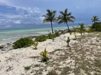 PRIVATE OCEANFRONT BEACH BUNGALOW! SNORKELING REEFS PADDLEBOARDING!