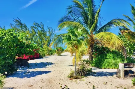 Sundial Bambarra Beach ~ Conch
