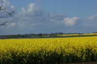 Thatched vacation home directly on the Baltic Sea Các khách sạn ở Insel Poel