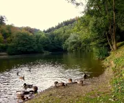 Apartment Neuwied / Oberbieber. Hotels in Neuwied